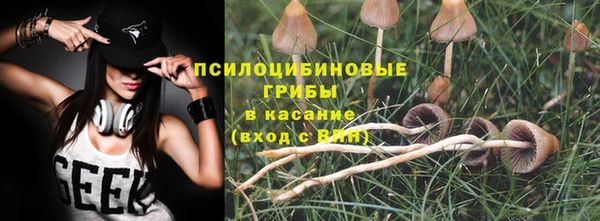 дурь Алексин