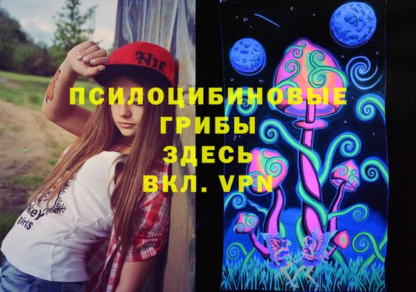 ГАЛЛЮЦИНОГЕННЫЕ ГРИБЫ Алексеевка