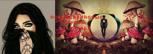 дурь Алексин