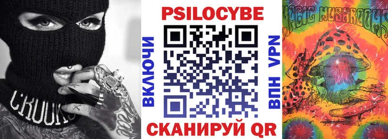 что такое   Апшеронск  Галлюциногенные грибы GOLDEN TEACHER 